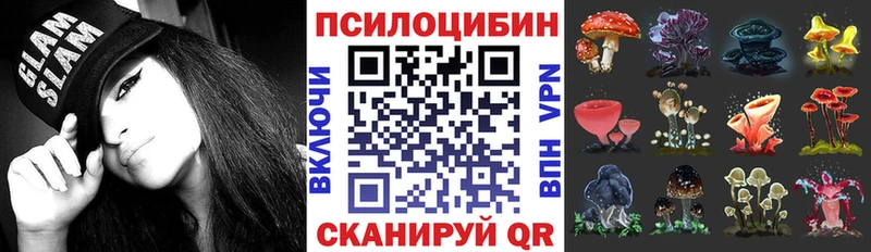 Псилоцибиновые грибы Magic Shrooms  магазин продажи   Староминская 